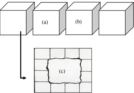 Gambar 1  Pemotongan contoh uji untuk uji penetrasi; permukaan (a) untuk uji penetrasi  boron dan permukaan (b) untuk uji penetrasi tembaga, (c) pengukuran penetrasi