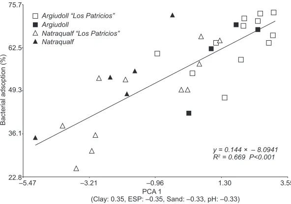 Fig. 4. Linear regression of bacterial adsorption on the scores of the irst axis from the principal component analysis (PCA1)