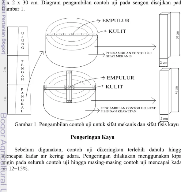 Gambar 1  Pengambilan contoh uji untuk sifat mekanis dan sifat fisis kayu Pengeringan Kayu