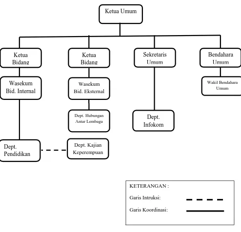 Gambar 2.1 Struktur Kepengurusan Kohati Badko Sumut 