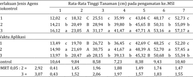 Tabel 3.   Pengaruh perlakuan agens biokontrol (B) dan waktu aplikasi (P) secara mandiri terhadap tinggi  tanaman cabai yang diinokulasi dengan F