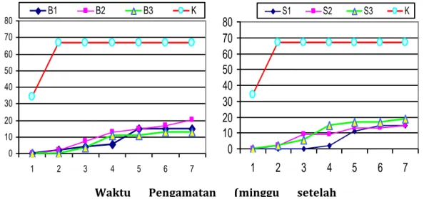 Gambar 3.   Perkembangan  penyakit  layu  Fusarium  pada  setiap  waktu  pengamatan.  Perlakuan  jenis  agens biokontrol(kiri), Perlakuan waktu aplikasi (kanan) 