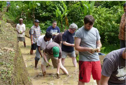 Gambar 3. Atraksi menanam padi, salah satu aktivitas pertanian di Subak Wangaya Betan yang  menarik bagi wisatawan.