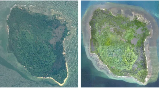 Gambar 3. Citra satelit GeoEye 1 akuisisi 31 Juli 2010 (kiri)  dan data foto udara hasil akuisisi 11-12 November 2017 (kanan).