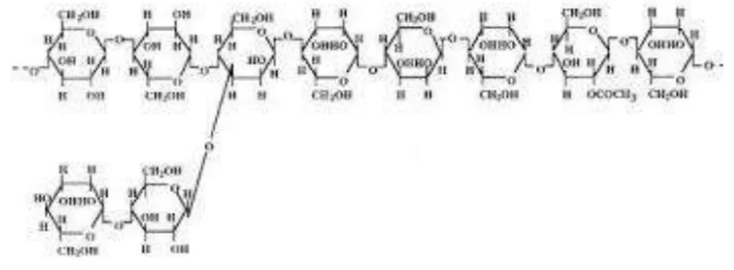 Gambar II.5. Struktur Molekul Glukomanan 