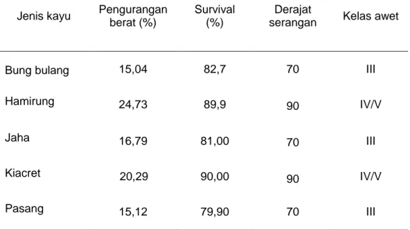 Tabel 16 Pengurangan berat, jumlah rayap tanah yang hidup dan derajat  proteksi  