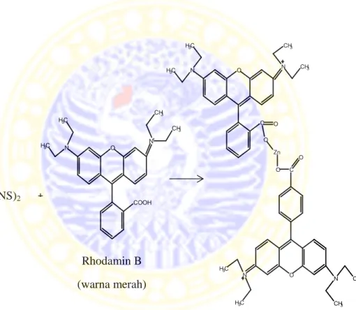 Gambar 4.5 Dugaan reaksi Zn(CNS) 2  dengan rhodamin B (Puspitasari, 2011) Zn(CNS)2+Rhodamin B (warna merah)Rhodamin  B-tetrathiocyanatozincate (warna ungu) 