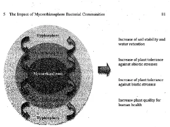 Fig. 5.1 The Mycorrhizosphere trophic complex and its role as an ecosystem service provider 