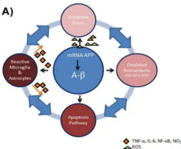Gambar 2.3 Pengaruh Stess Oxidative pada Otak 