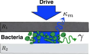FIG. 1. We consider a driven single-sided multimode Fabry-Perot cavity embedding green sulphur bacteria