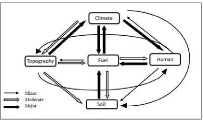Figure 4. Methodology to evaluate the weight of different factors affecting 