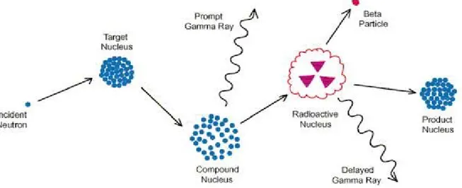 Gambar 1 mengilustrasikan prinsip PGNAA/PGFNAA yang membedakan dengan teknik NAA  (Neutron activation analysis) [R.Acharya and A.V.R