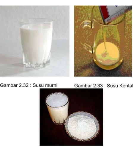Gambar 2.34 : Susu Kering