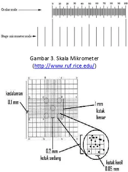 Gambar 3. Skala Mikrometer 