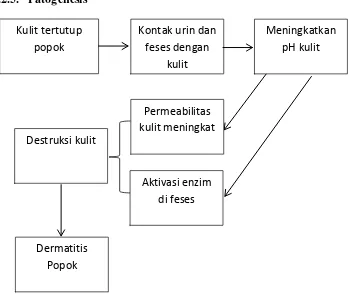 Gambar 2.1. Diagram Patogenesis Dermatitis Popok 