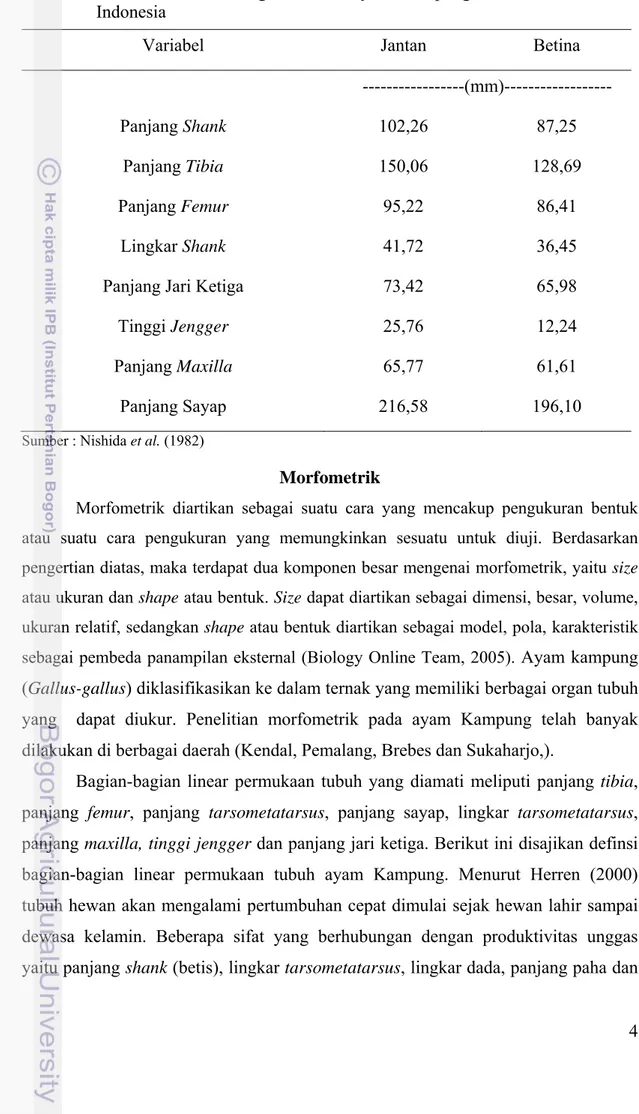 Tabel 1. Rataan Ukuran Kerangka Tubuh Ayam Kampung Jantan dan Betina di  Indonesia 