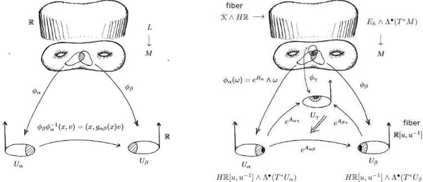Figure 1: Flat line bundle vs. twisted diﬀerential cohomology theory.