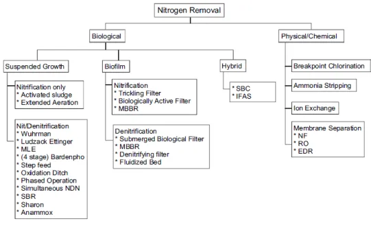Gambar 2. Diagram alir proses penyisihan nitrogen (Neethling, Z. et al.,2010). 