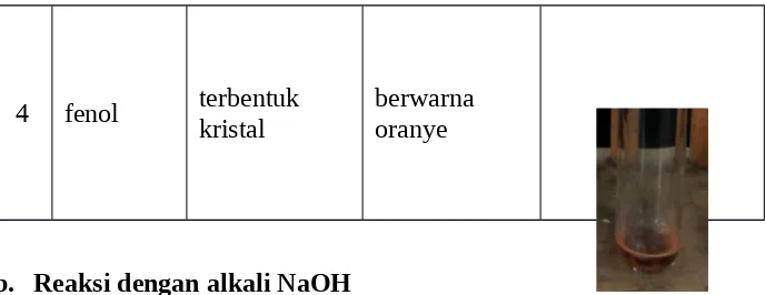 Tabel  6. Pengamatan  Senyawa Turunan Alkohol  dan  Fenol  Melalui  Reaksi