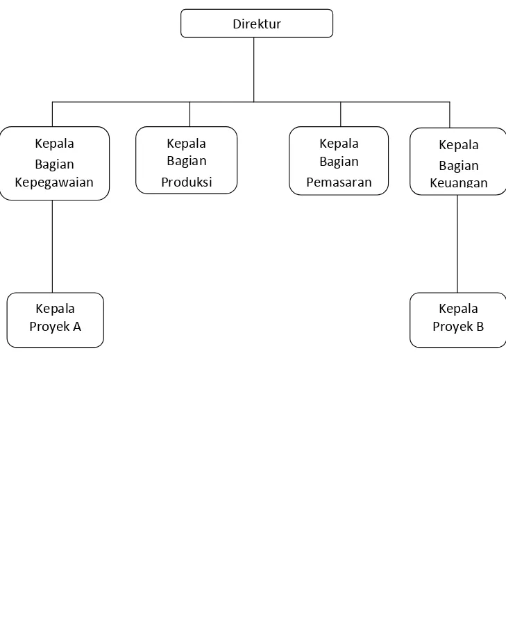 Gambar struktur organisasi Fungsional. 