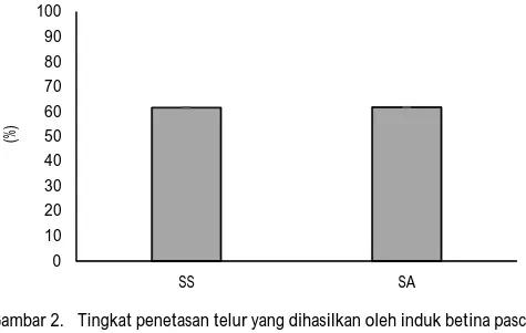 Figure 2. Hatching  rate  of  fertiled  eggs  produced  by  female  broodstock  after inseminated with spermatophores from different sources of male, SS= spermatophore from South Sulawesi waters and SA= spermatophore from Aceh waters