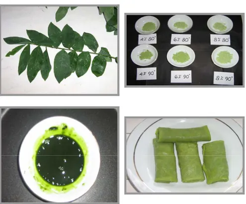 Gambar 2 Aplikasi pewarna alami bubuk ekstrak daun katuk 