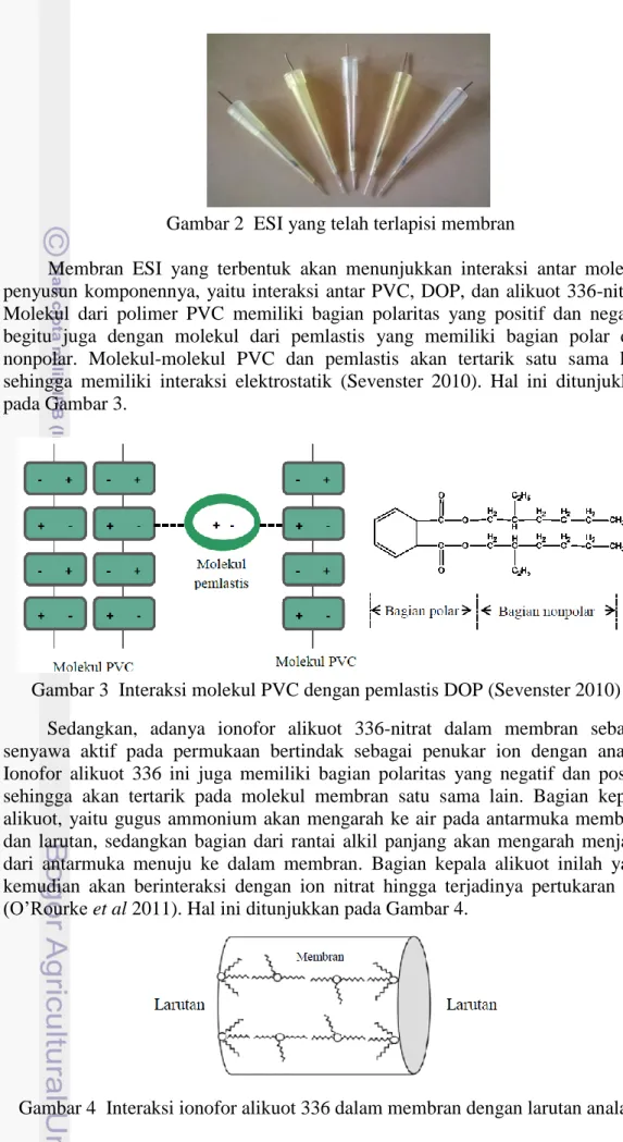 Gambar 3  Interaksi molekul PVC dengan pemlastis DOP (Sevenster 2010)  Sedangkan,  adanya  ionofor  alikuot  336-nitrat  dalam  membran  sebagai  senyawa  aktif  pada  permukaan  bertindak  sebagai  penukar  ion  dengan  analat