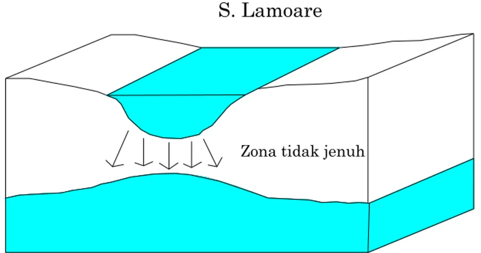 Gambar 3.4 Pola Interaksi S. Lamoare dengan Sistem Airtanah  (Irwan Iskandar, 2005) 