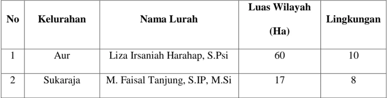 Tabel 4.2. Luas Lahan dan Jumlah Lingkungan di Kecamatan Medan   Maimun 