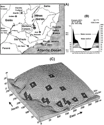FIG. 1. (A) Geographical situation of the municipality of Martinho Campos in south-eastern Brazil; (B) Walter climatic diagram for the region (data from DNMet, 1992), diagramfollows Walter (1985); and (C) surface grid showing the distribution of the ten sa
