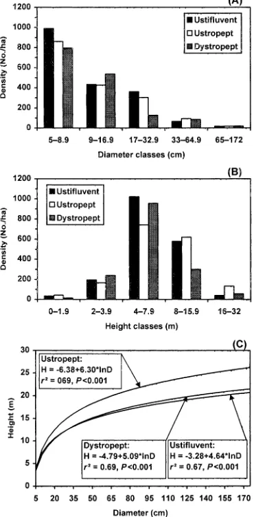 FIG. 3. Tree heights and diameters in the three soil habitats, Ustiﬂuvent, Ustropept andDystropept: (A) distributions of tree densities per diameter class; (B) distributions of treedensities per height class; and (C) curves obtained by regressing height (H) on log-transformeddiameter (d).