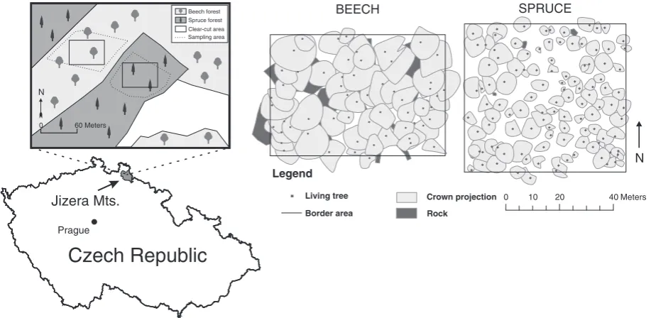 Fig. 1. Sampling locality in the Czech Republic and permanent research plots (PRP) in the spruce and beech forests.