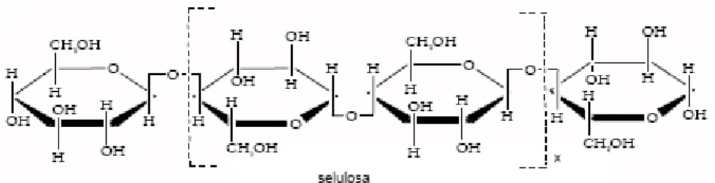 Gambar I.1.  Struktur Kimia Selulosa 