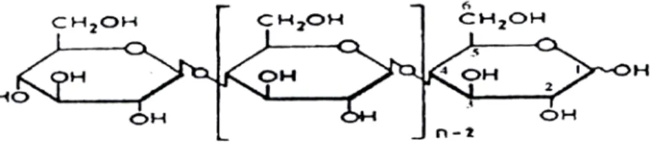 Gambar 2.2. Ikatan β1,4 - glikosida selulosa 