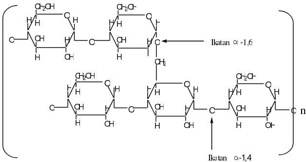 Gambar 2. Struktur molekul amilopektin (Kusnandar, 2011) 