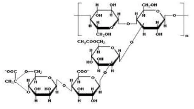 Gambar 3. Struktur molekul xanthan gum (Sworn, 2000). 