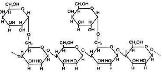 Gambar 4. Struktur molekul guar gum (Goldstein, et al., 1973). 