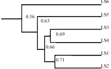 Table 4 Species richness (S) and Shannon’s diversity (H¢) retrievedfrom bands on the DGGE proﬁles (Fig