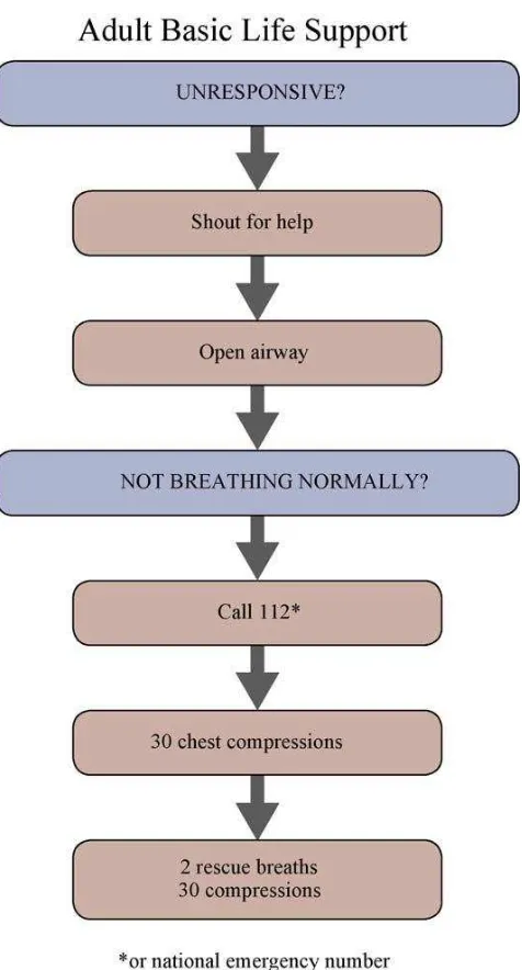 Gambar 2.1. Algoritma Bantuan Hidup Dasar (Sumber: European Resuscitation 