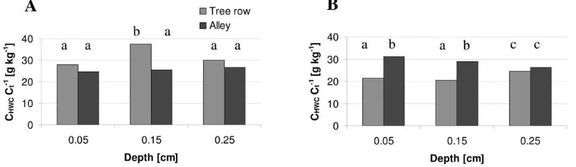 Fig. 3. Average (N = 6) total C contents in the top 0.3 m of the soils under the tree row and the alley of the apple orchards