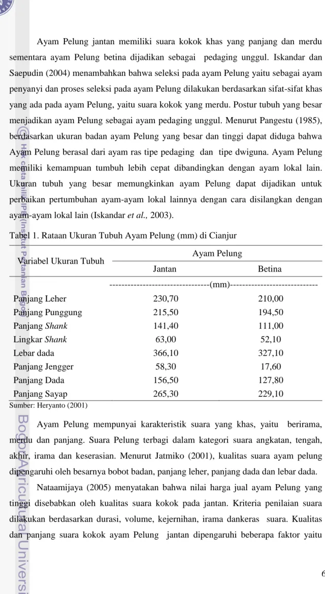 Tabel 1. Rataan Ukuran Tubuh Ayam Pelung (mm) di Cianjur  