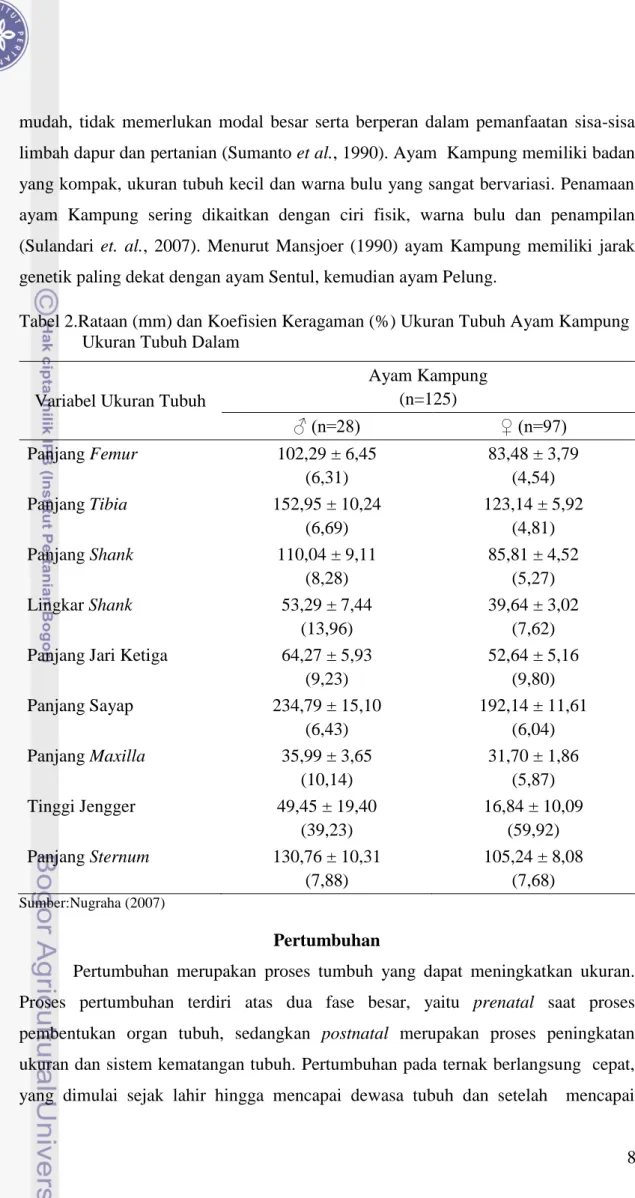 Tabel 2.Rataan (mm) dan Koefisien Keragaman (%) Ukuran Tubuh Ayam Kampung     Ukuran Tubuh Dalam  