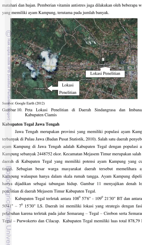Gambar 10.   Peta  Lokasi  Penelitian  di  Daerah  Sindangrasa  dan  Imbanagara  Kabupaten Ciamis 