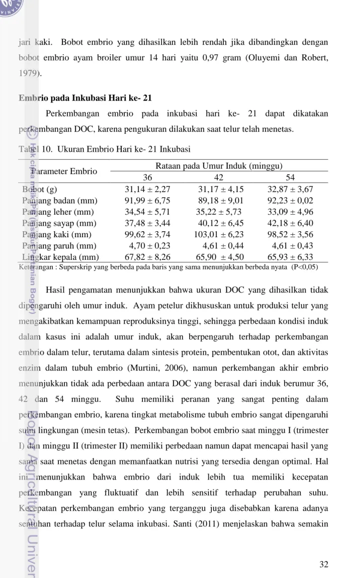 Tabel 10.  Ukuran Embrio Hari ke- 21 Inkubasi 