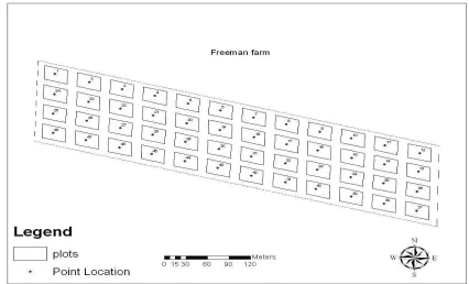 Fig. 1. Study area (Lincoln University‟s Freeman farm) showing the plots 