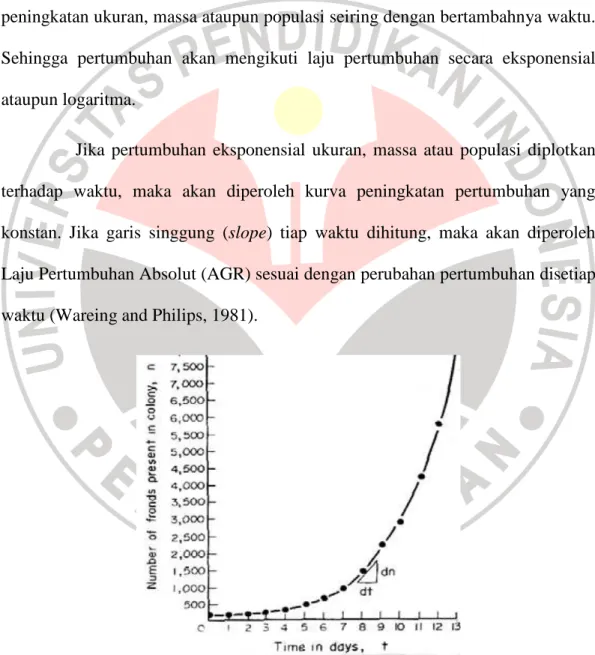 Gambar  2.1  Kurva  hubungan  antara  pertumbuhan  terhadap  waktu  (AGR)  (Wareing and Philips, 1981)  