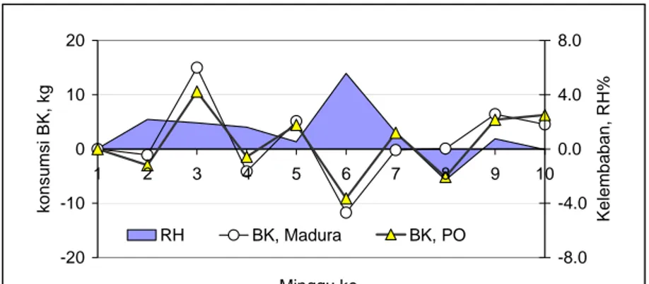 Gambar 2.  Perubahan kelembaban (dalam kandang) mingguan dan perubahan konsumsi BK pada sapi  Madura dan sapi PO