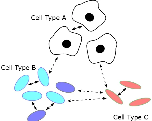 Fig. 2: Signaling in a diverse microscopic environment.Microscopic environments can be home to many differentspecies of cells, including animal cells (Type A) and bacterialcells (Types B and C)