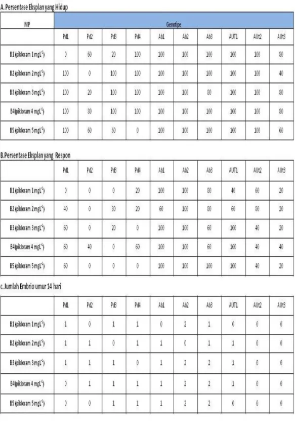 Tabel  1.  Persentase  eksplan  yang  hidup  dan  respons  dalam  media  DKW  yang  diperkaya  dengan  pikloram  dengan  berbagai  konsentrasi  serta  jumlah  embrio pada umur 14 hari kultur 