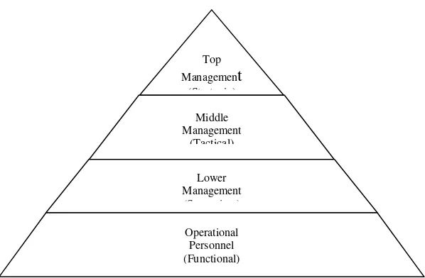 Gambar 3. Struktur SIM dari sisi Manajemen 